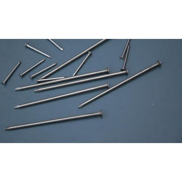 Hot Sale Fabricant Common Wire Iron Nail